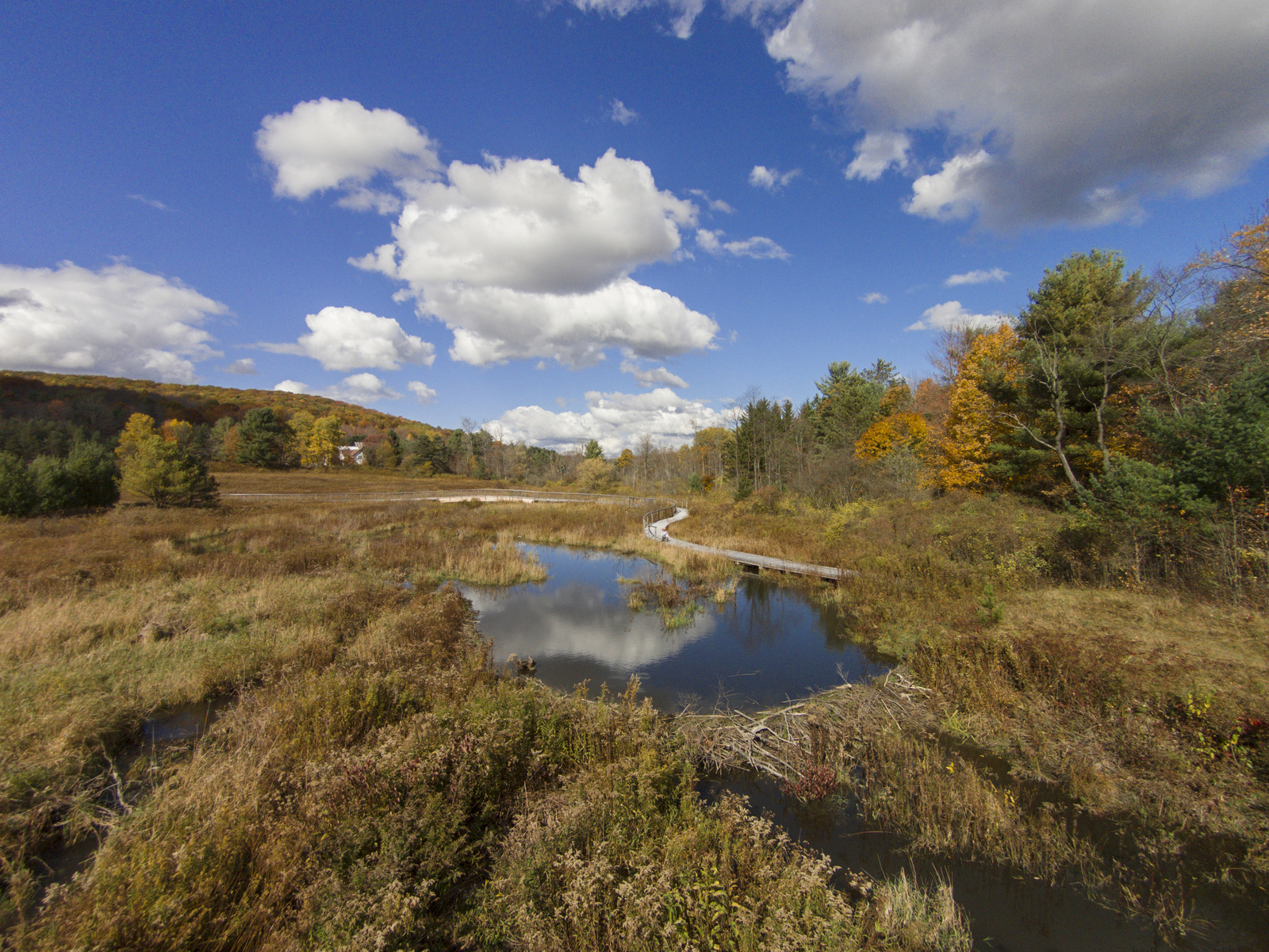Roy H Park Preserve Finger Lakes Land Trust