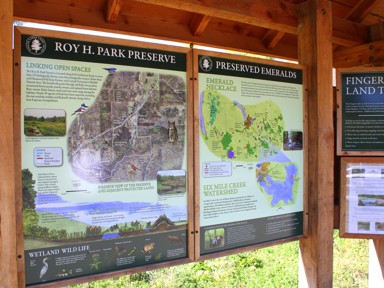 Roy H Park Preserve Finger Lakes Land Trust
