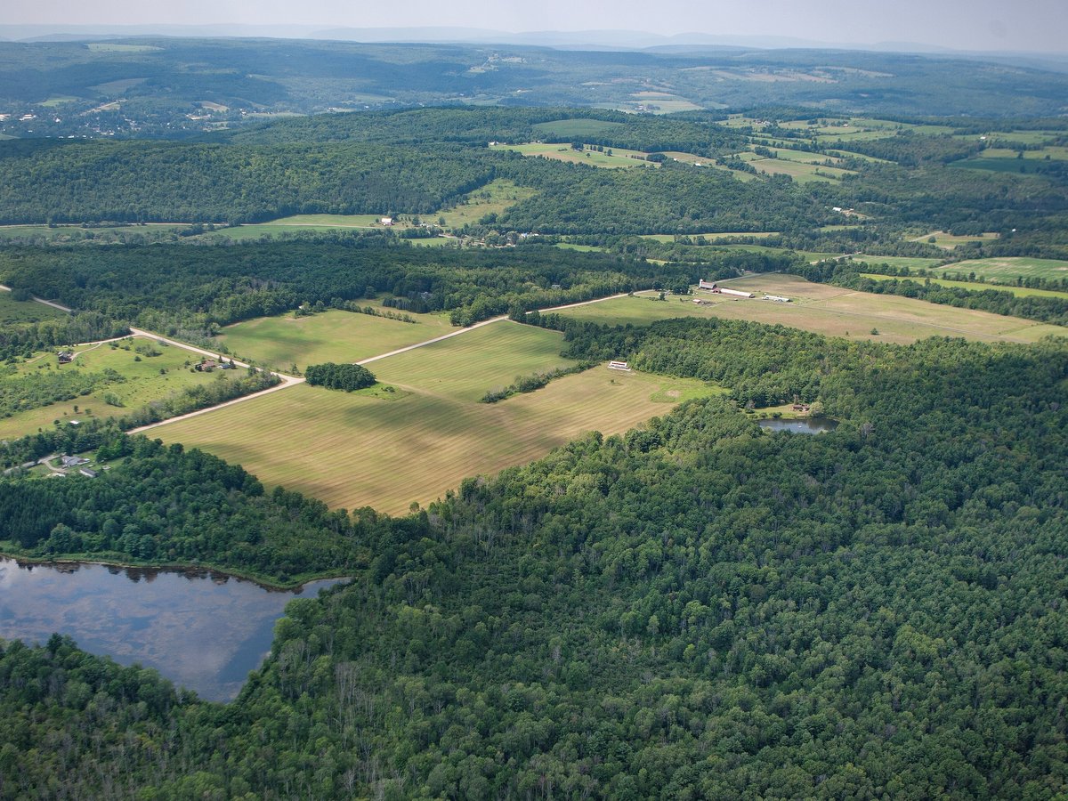 An aerial view of fields and forested land