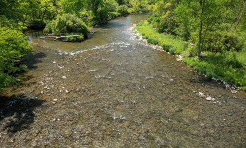 A rocky creek