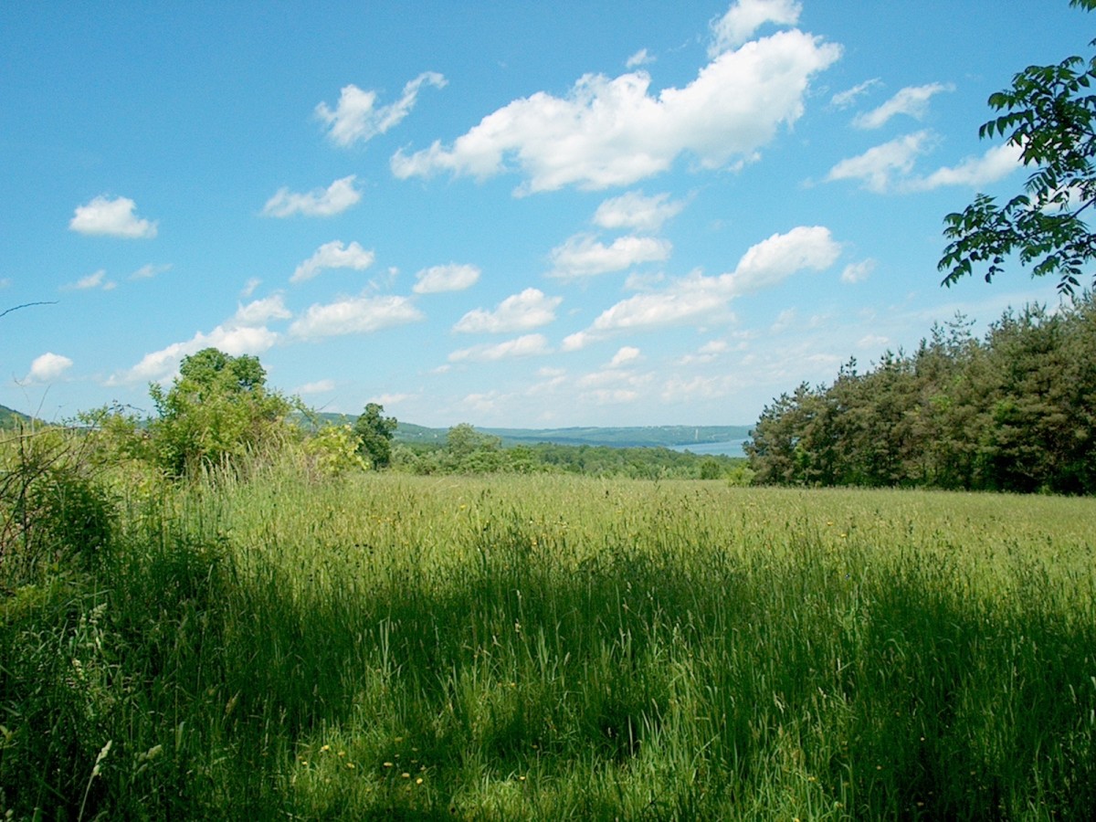 1-looking north from near s boundary