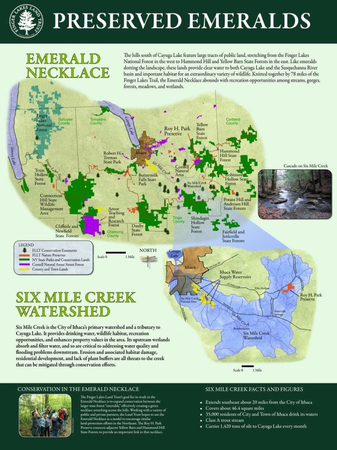 Emerald Necklace Panel Out