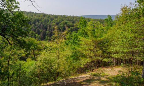 A view of green hills from a hiking trail