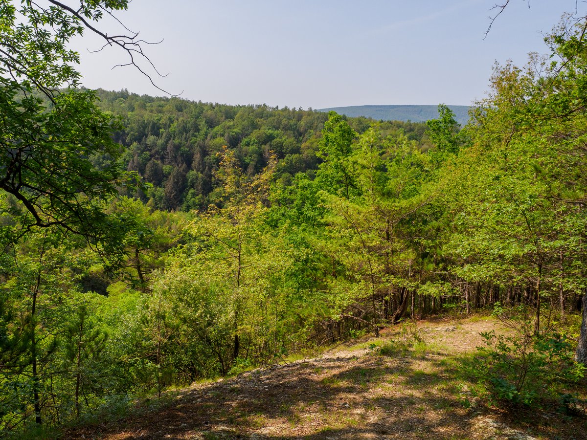 A view of green hills from a hiking trail