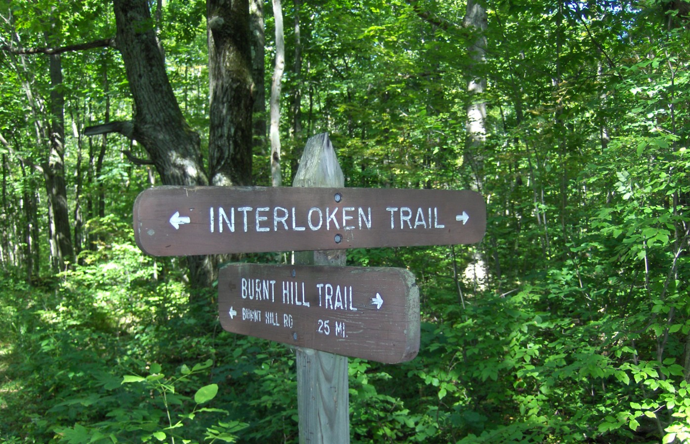 Trail signs