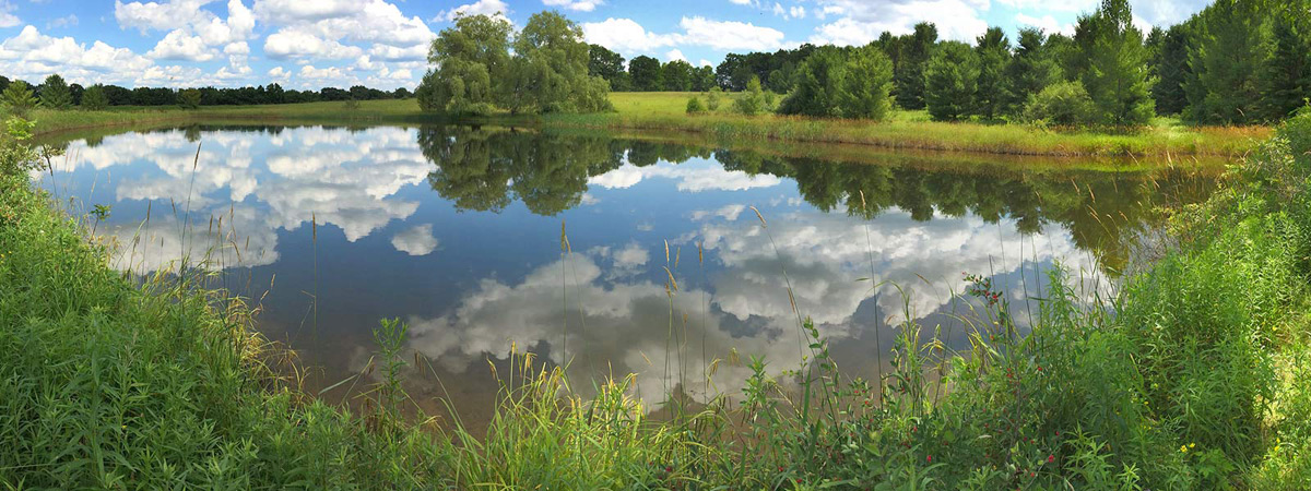 Candor-Big-Pond.July-2014.Harry-Littell1