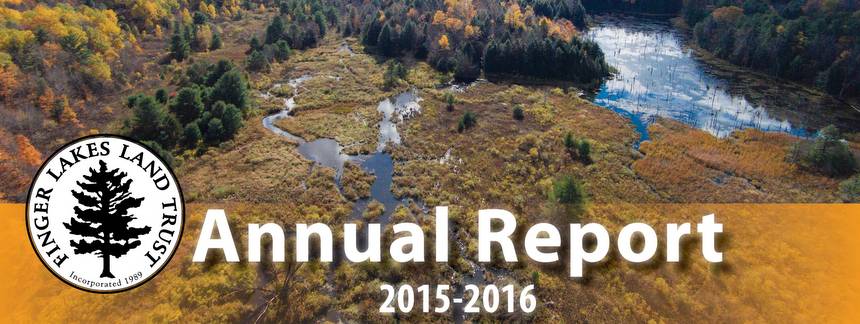 annual-report-2015-16-cover-page