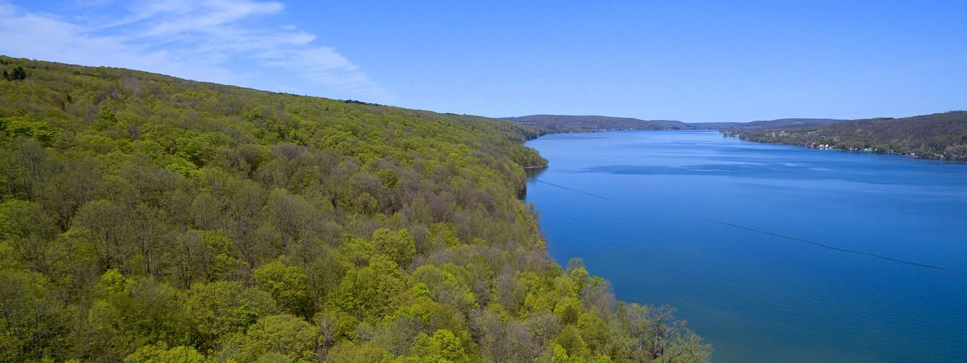 Otisco Lake Preserve Help Us Make It Happen! Finger Lakes Land Trust