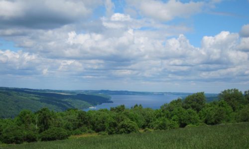 The view of a lake from a grassy meadow