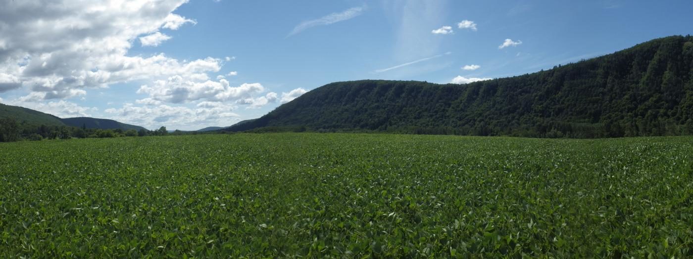 Land Trust Acquires More Than 200 Acres in Chemung River Valley Finger Lakes Land Trust