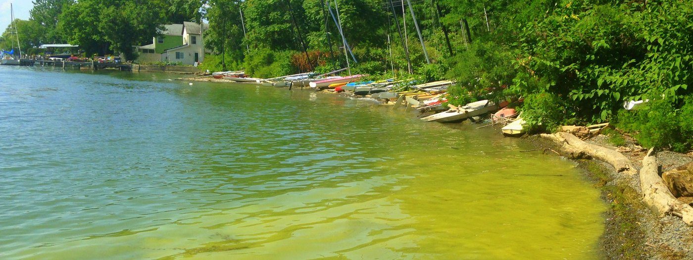 Toxic Algae in the Finger Lakes Finger Lakes Land Trust