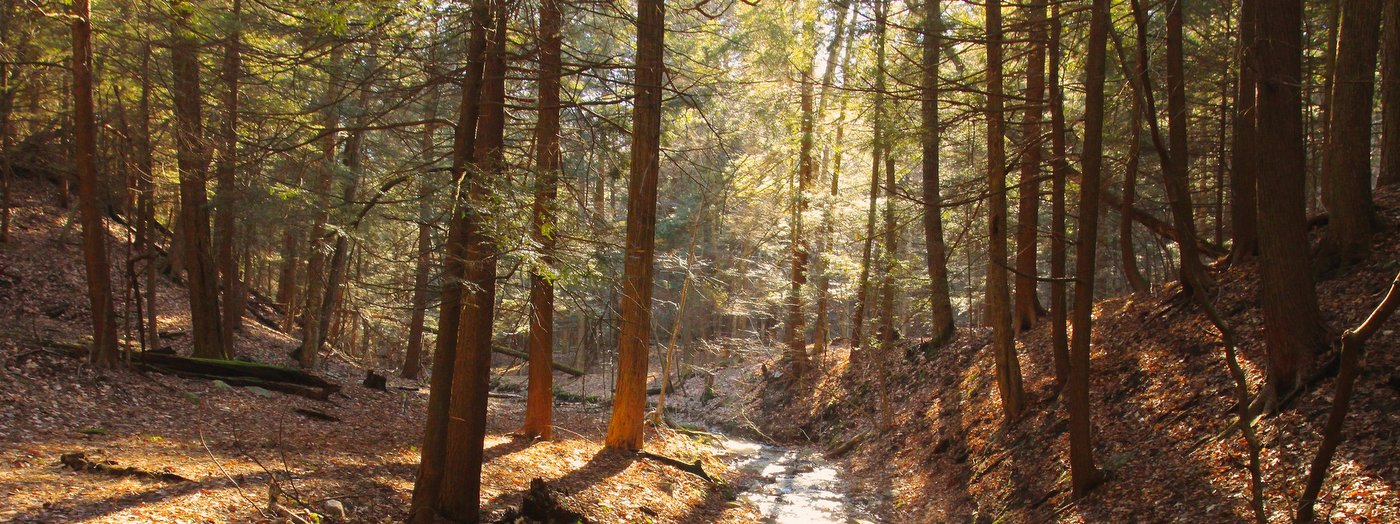 Finger Lakes Land Trust Nature Preserves Free of Hunting in 2020 Finger Lakes Land Trust