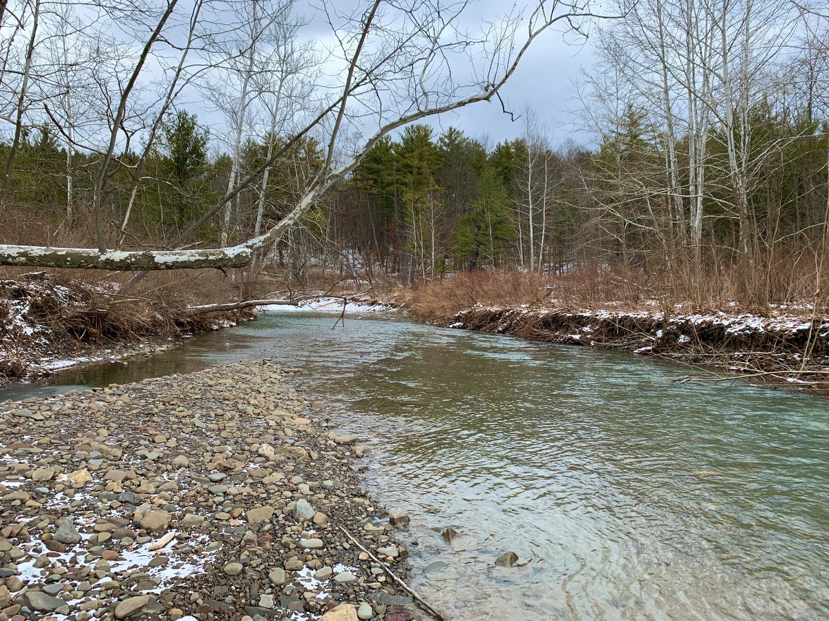 A flowing creek in winter with green trees in the background