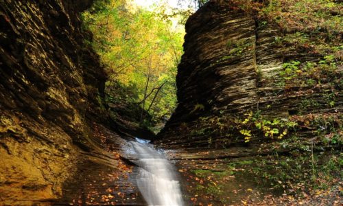 Clark Gully waterfall