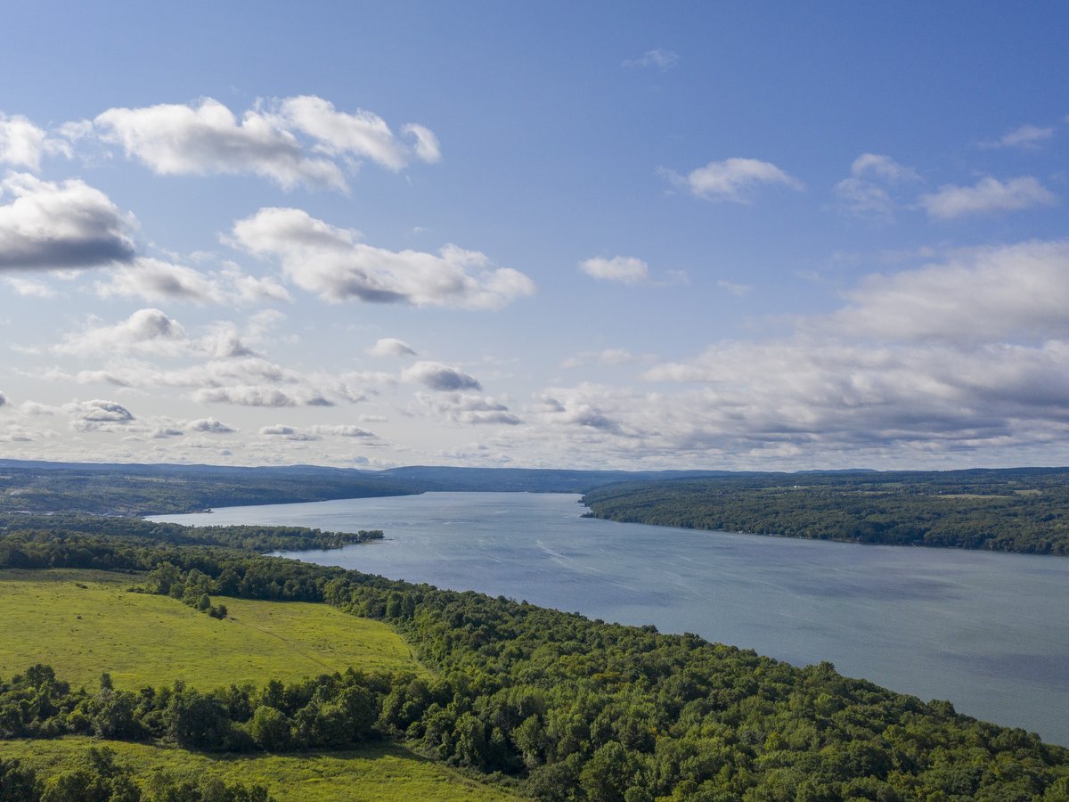 An aerial view of Cayuga Lake