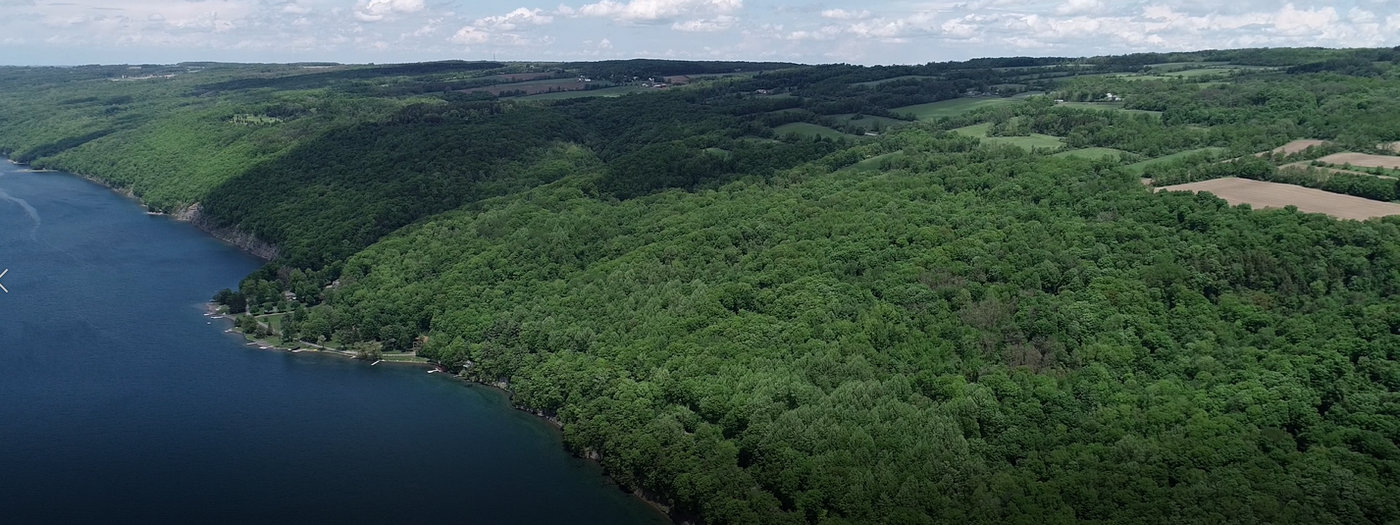 Land Trust Adds OneMile Hiking Trail to Network of Conserved Lands