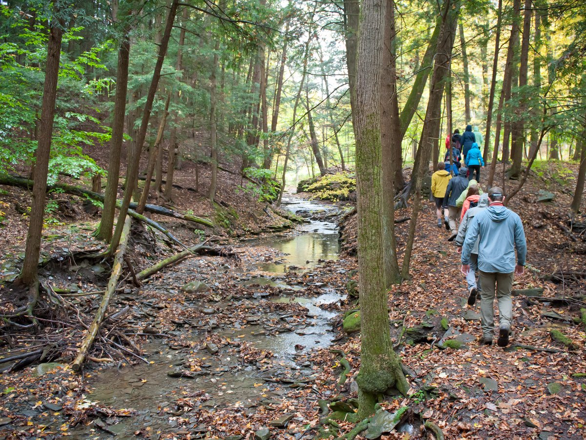 People hiking on a trail in the woods