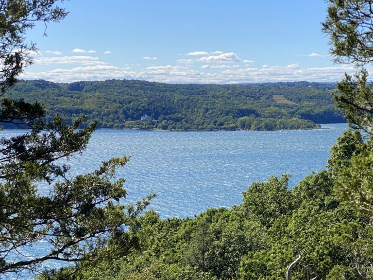 Finger Lakes Land Trust Acquires 4,000 Feet of Cayuga Lake Shoreline in