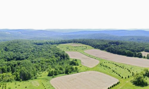 An aerial view of fields and forests