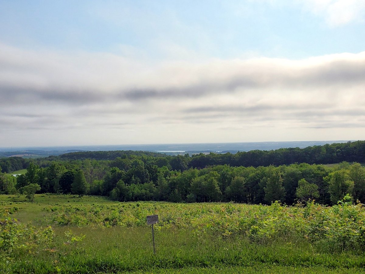 Canandaigua Vista Nature Preserve