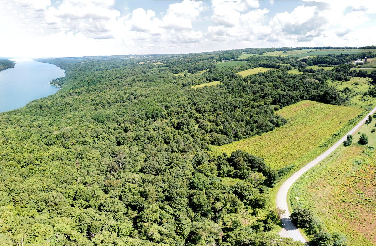 An aerial view of green hills and a blue lake