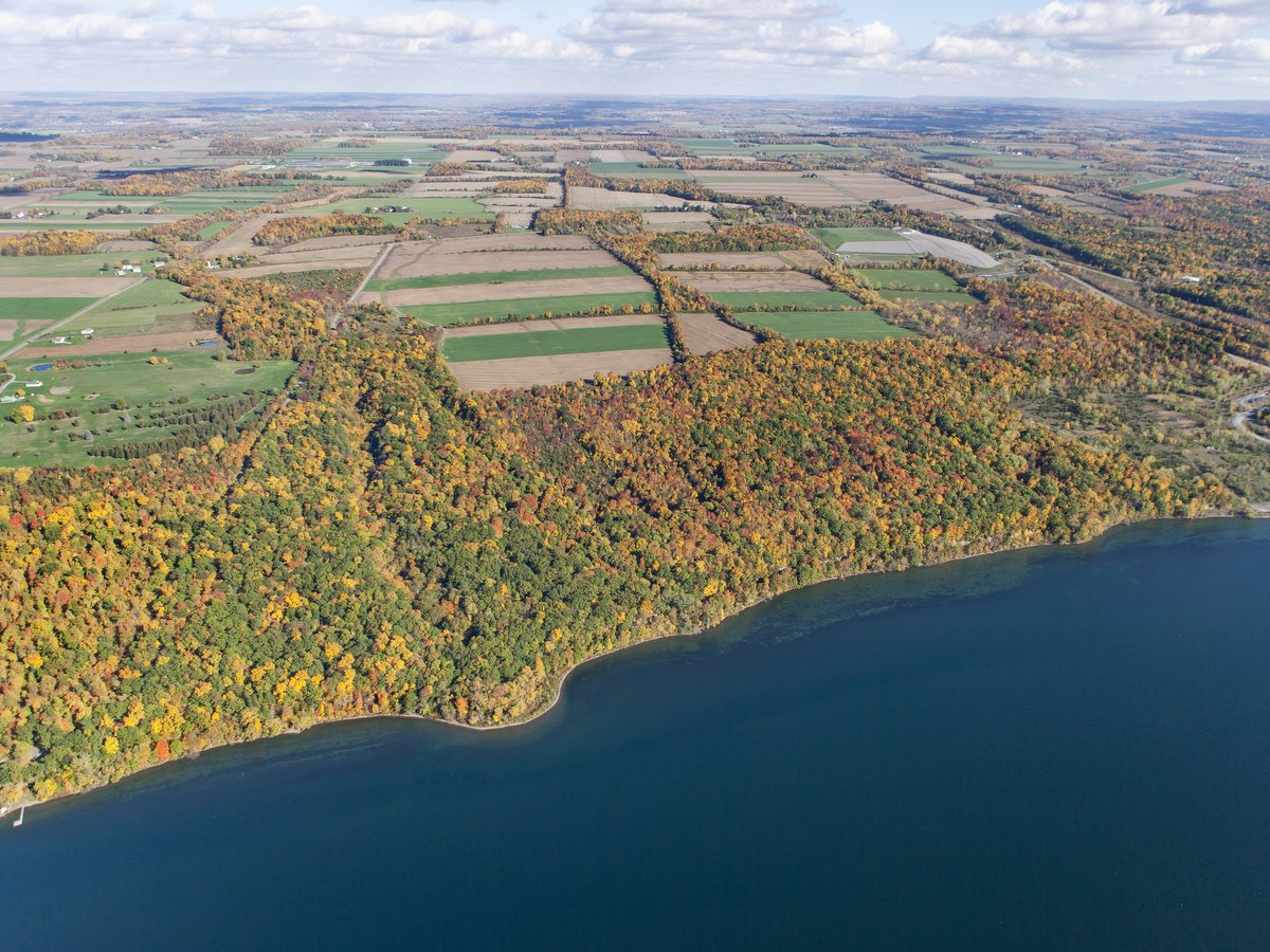 An aerial view of farmland and a blue lake