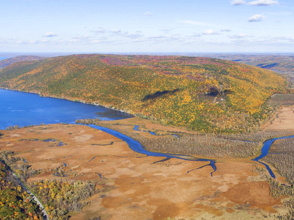 An Aerial view of the south end of Canandaigua Lake