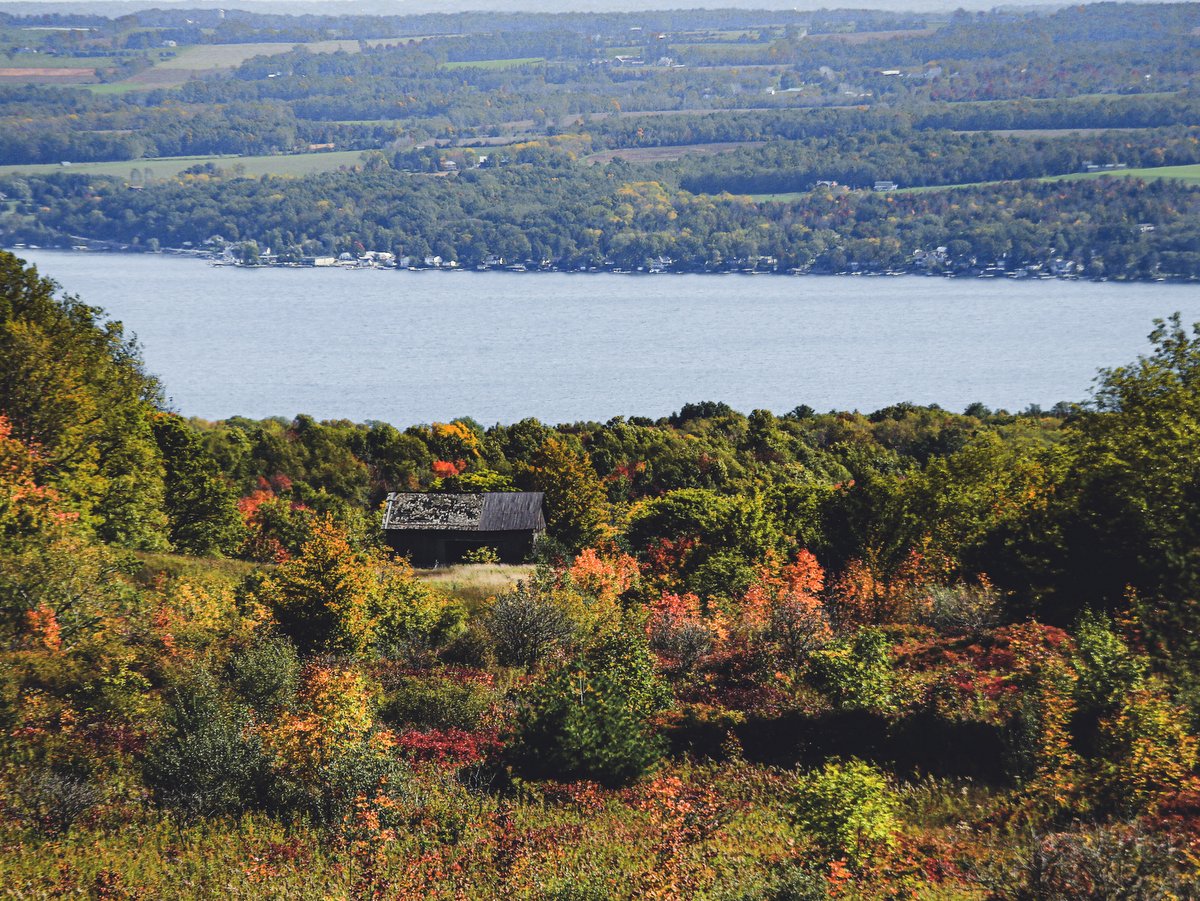 A lake with a barn and trees in the foreground