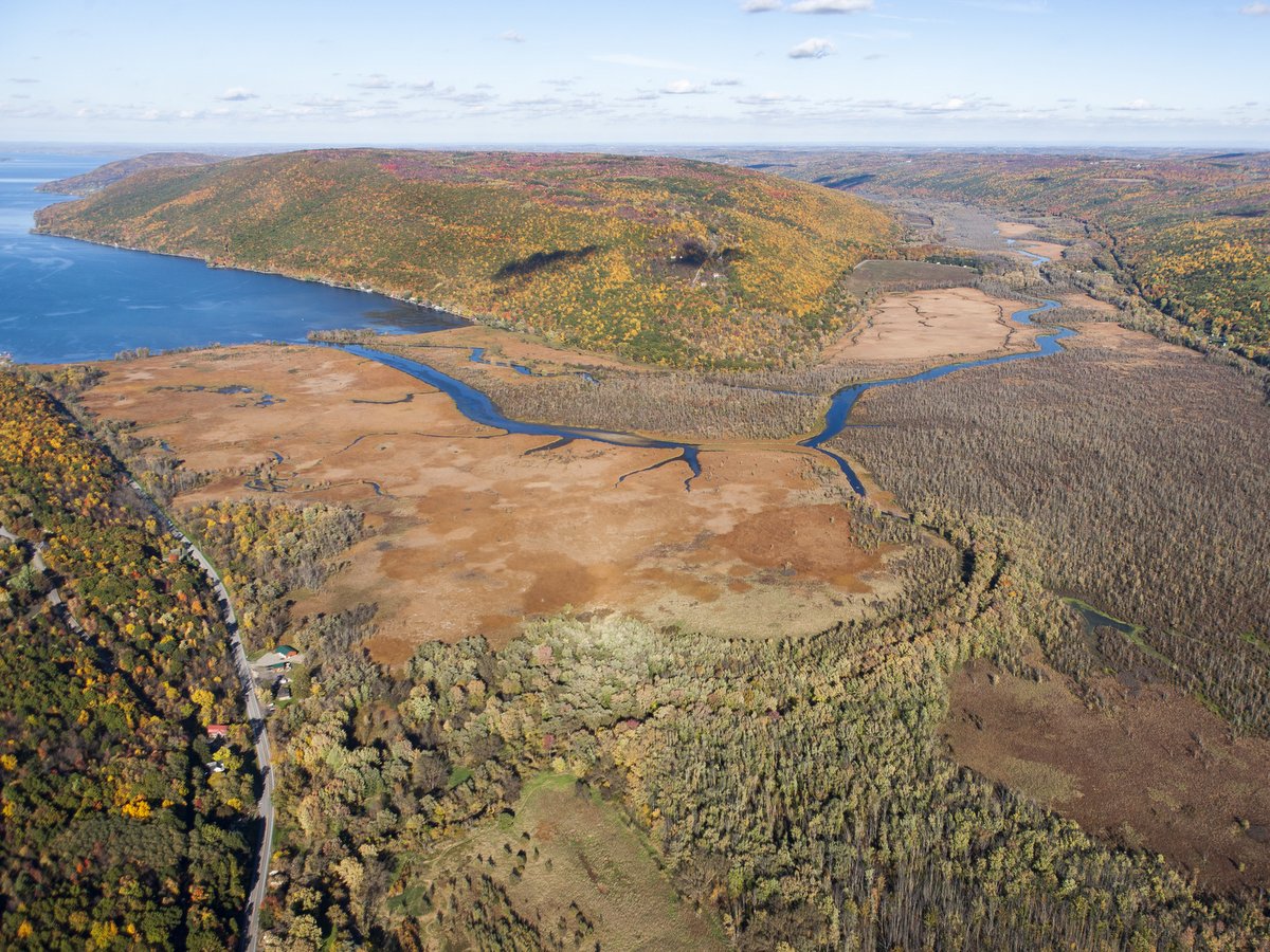 An aerial view of the south end of Canandaigua Lake