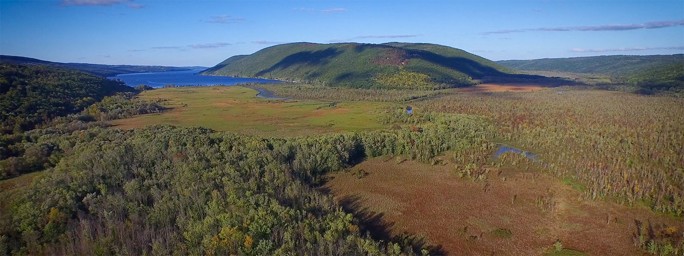 Watch a Recording of “Finger Lakes Forever” Virtual Event from March 31