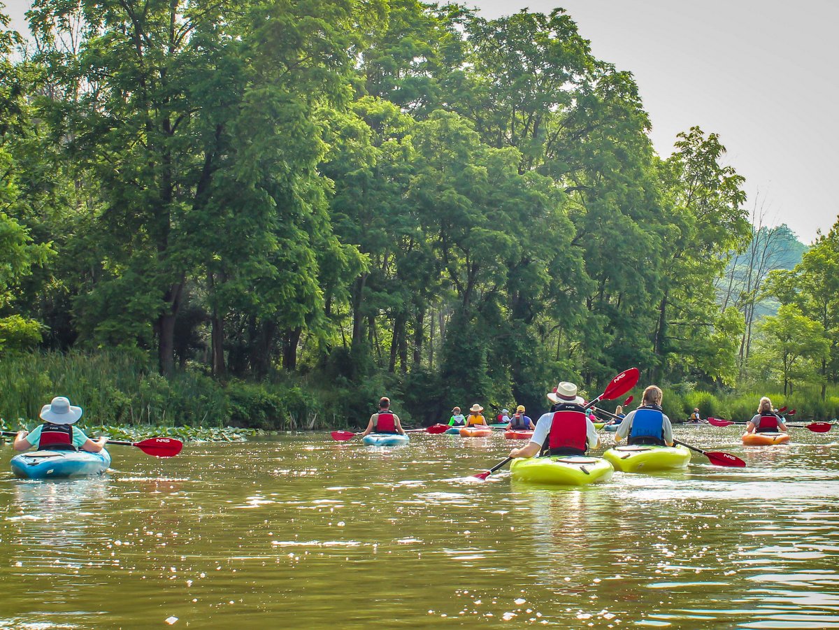 People kayaking in a creek