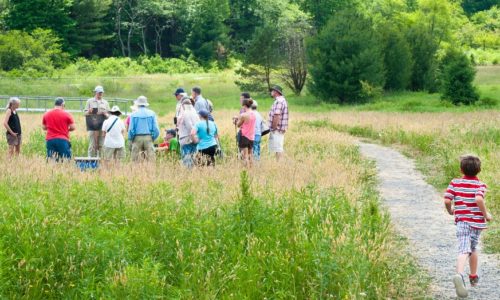 A group of people standing in a field