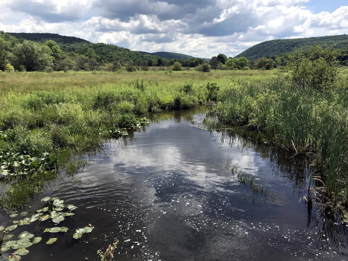 A flowing stream surrounded by green hills