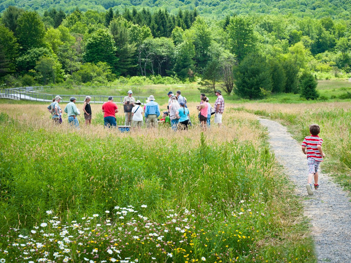 A group of people standing in a field