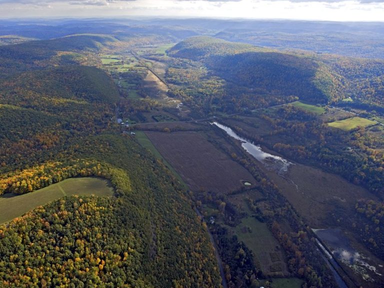 More Than 150 Acres Protected in Chemung and Tompkins Counties Finger