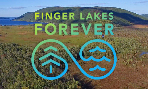 Finger Lakes Forever