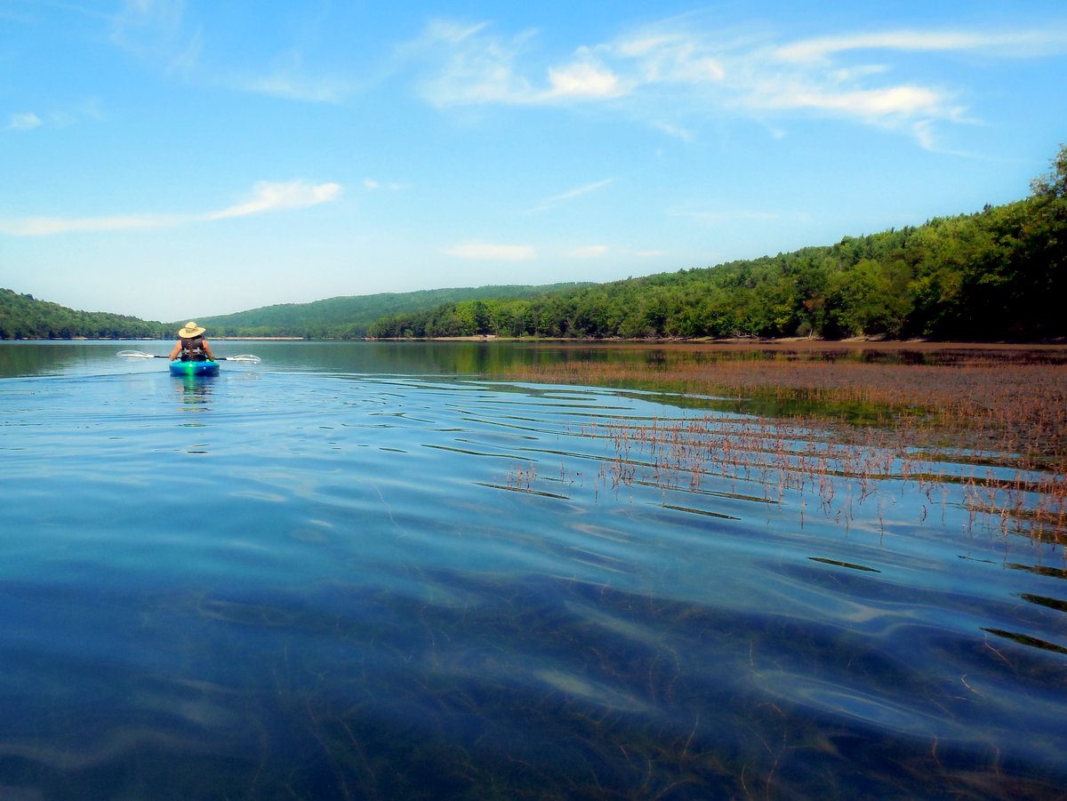 A person kayaking on a lake