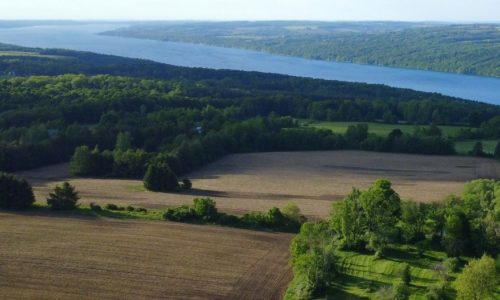 An aerial view of farmland and a lake