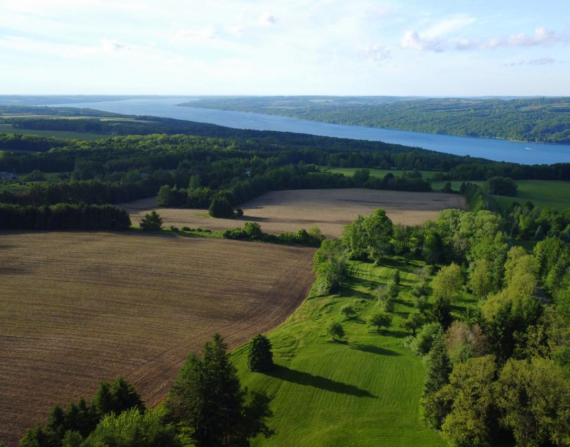 An aerial view of farmland and a lake in the background