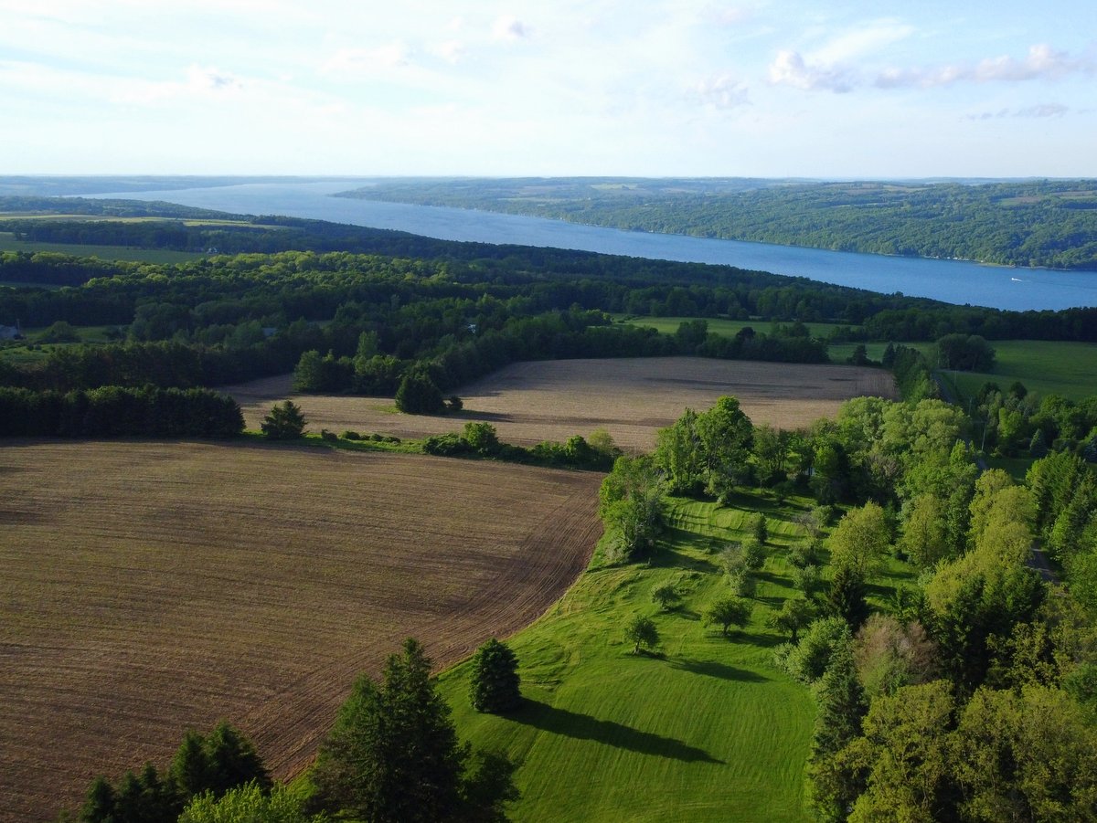 An aerial view of farmland and a lake