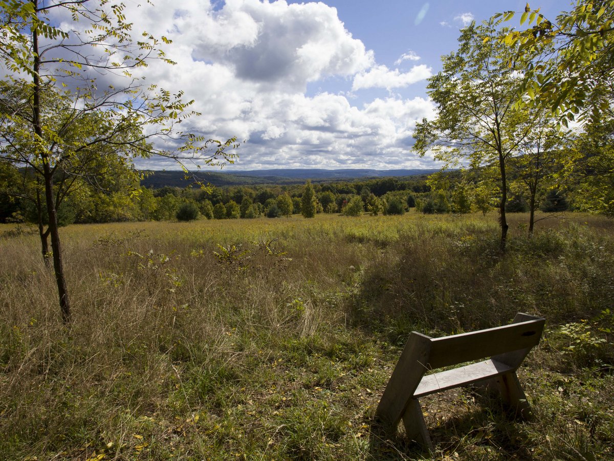 A photo of a wooden bench with a view of a field and a big blue sky