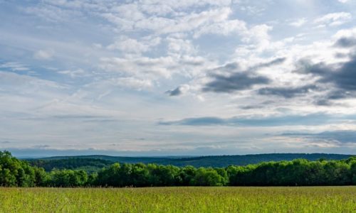 An open field with tall grass and a blue sky