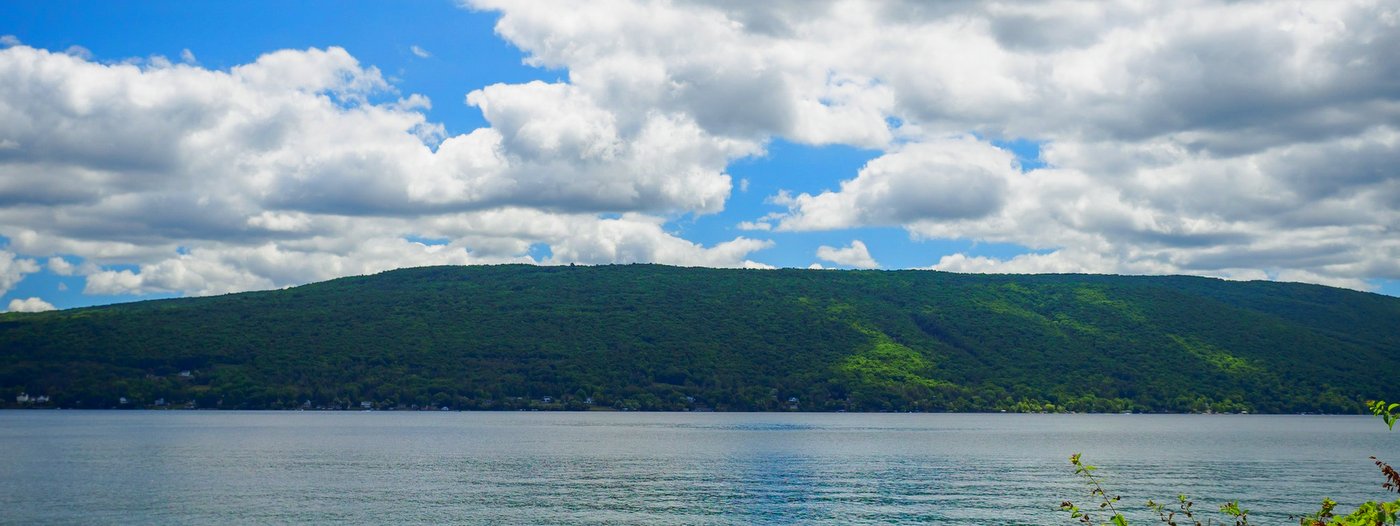 Finger Lakes Land Trust Acquires Scenic Woodlands above Canandaigua