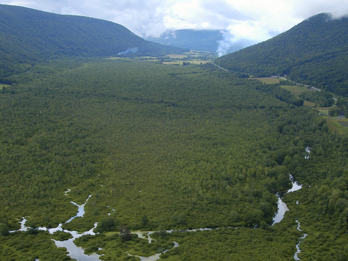 A wetland area surrounded by green hills