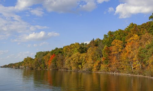 The shoreline of a lake with trees in fall colors