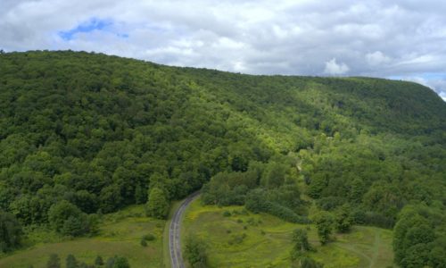 A wooded hillside