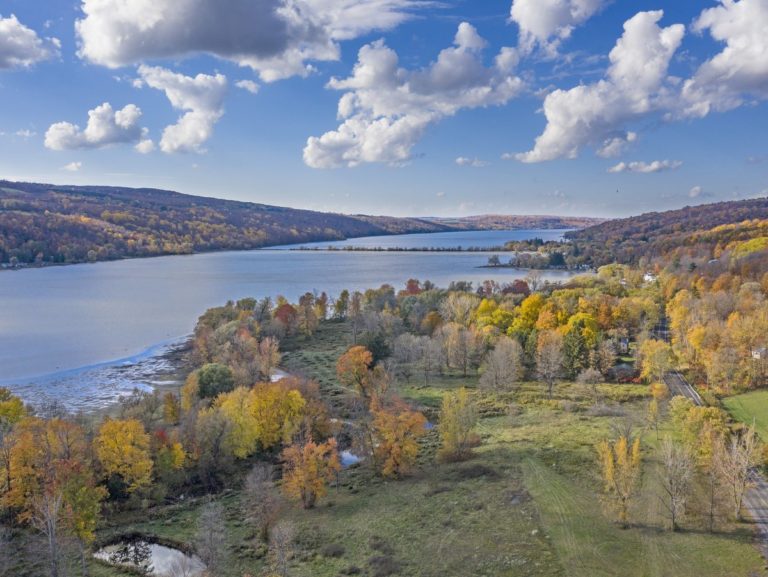 Guided Walk at the Otisco Shores Conservation Area Finger Lakes Land
