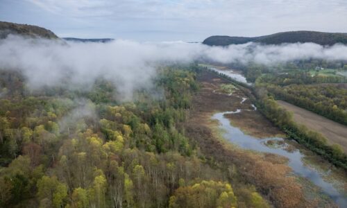 A misty valley with a wetland area