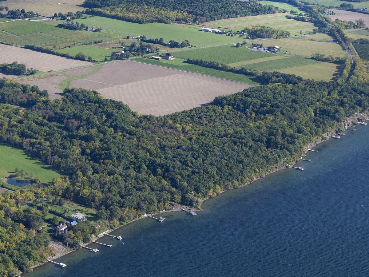 An aerial view of a lakeshore with farmland in the distance