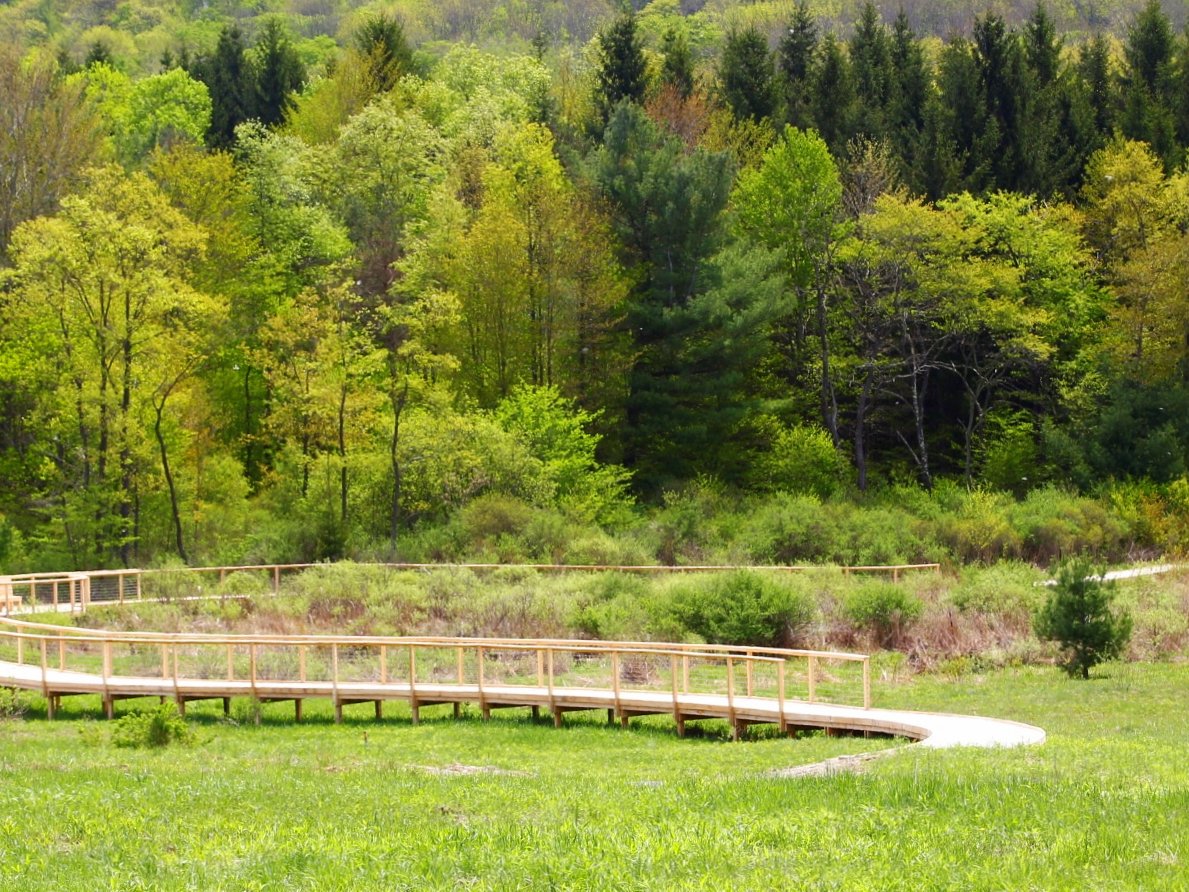 A wooden boardwalk in a nature preserve